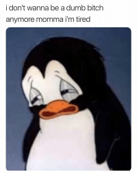 thumb_i-dont-wanna-be-a-dumb-bitch-anymore-momma-im-37099850